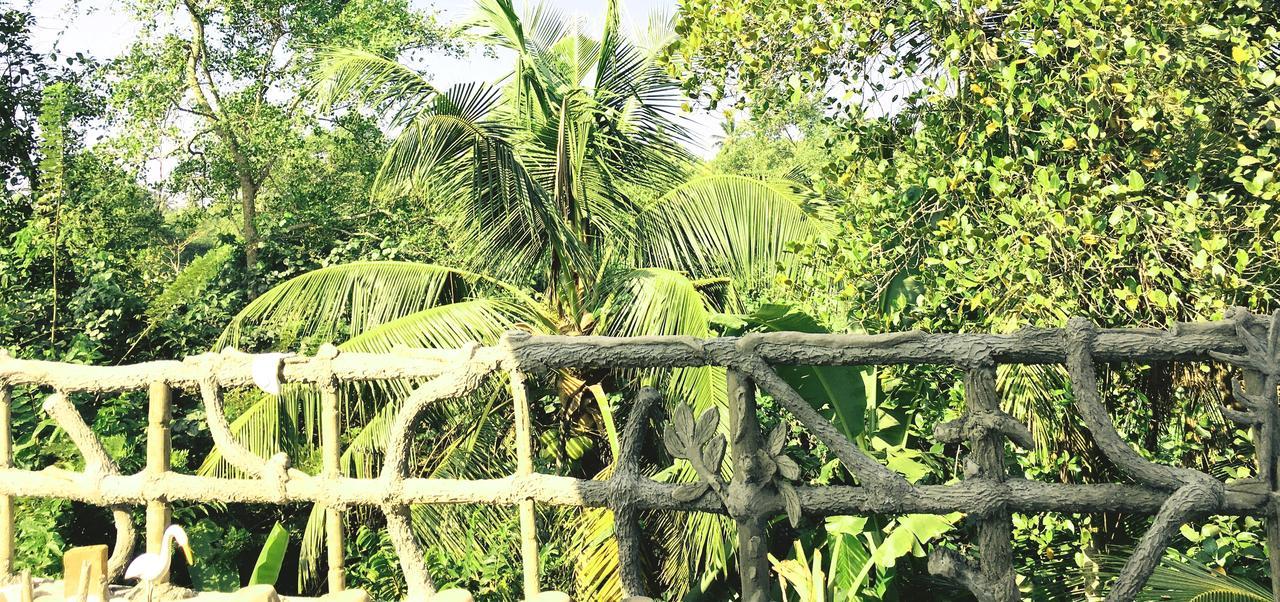 Galle Paradise Inn Exteriér fotografie